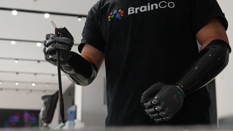 软件测试文档管理工具：提升测试效率的关键利器